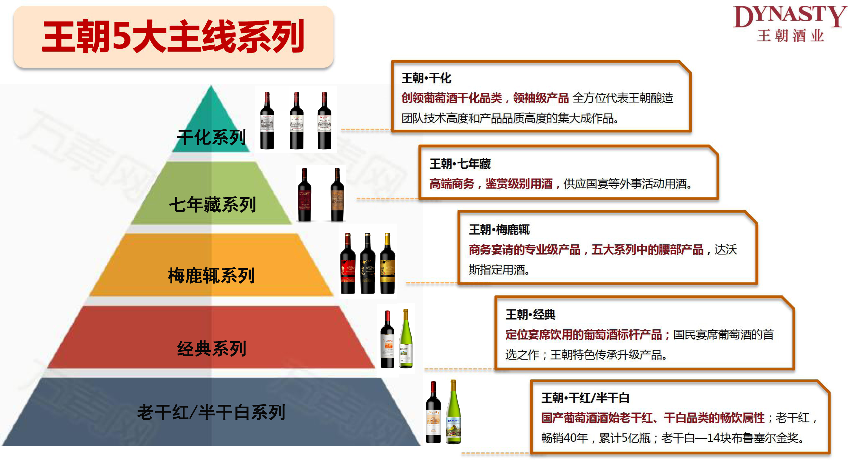 美彩国际(中国)有限公司